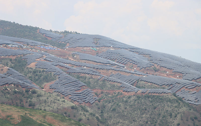 项目大场景。杨永锋摄