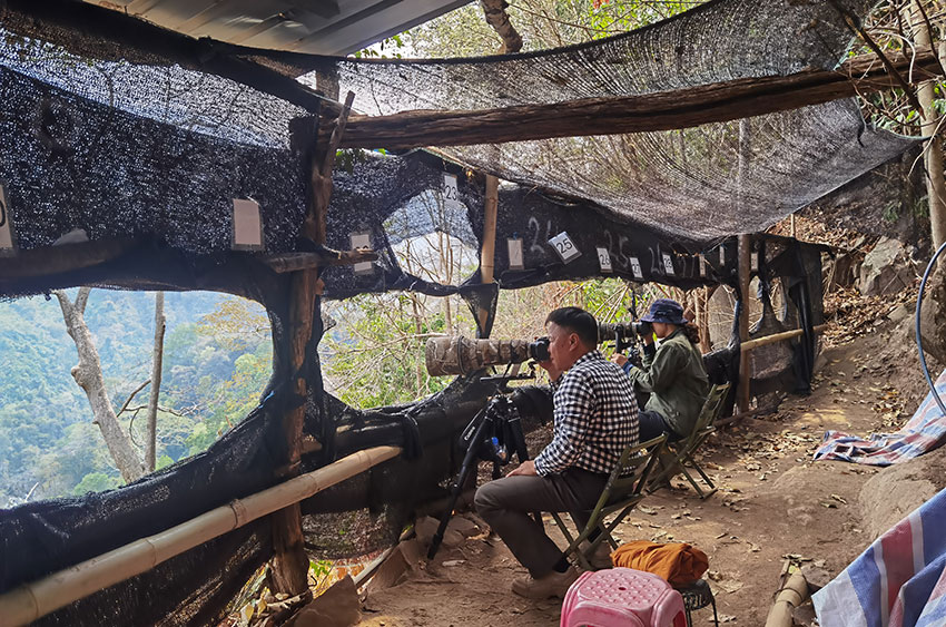 远道而来的外地观鸟客正在观鸟。杨芮摄