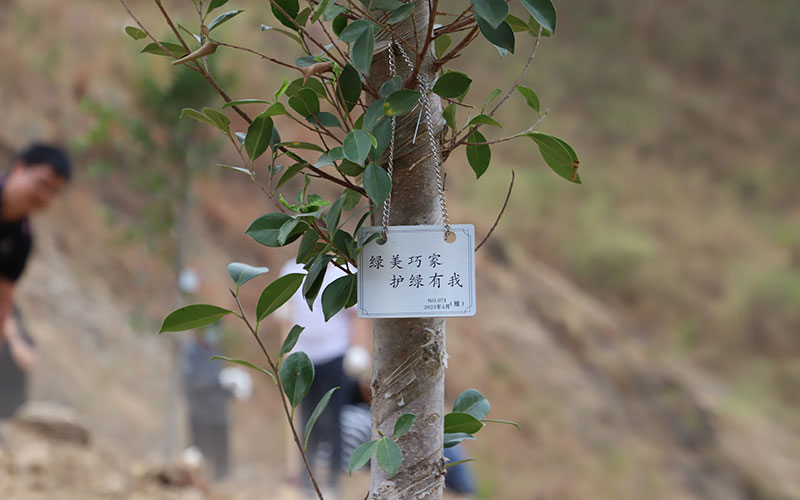 綠美巧家，護綠有我。張順富攝