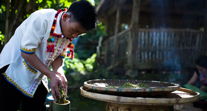 跟著霞客體驗有一種叫雲南的生活·氤氳茶香之旅