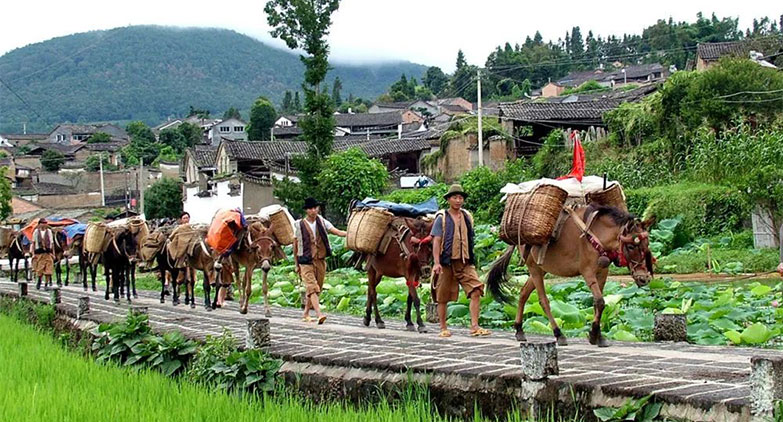 跟著霞客體驗有一種叫雲南的生活·古鎮鄉野之旅