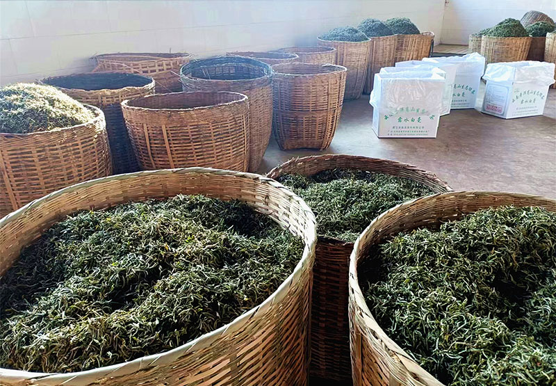 茶叶成品。