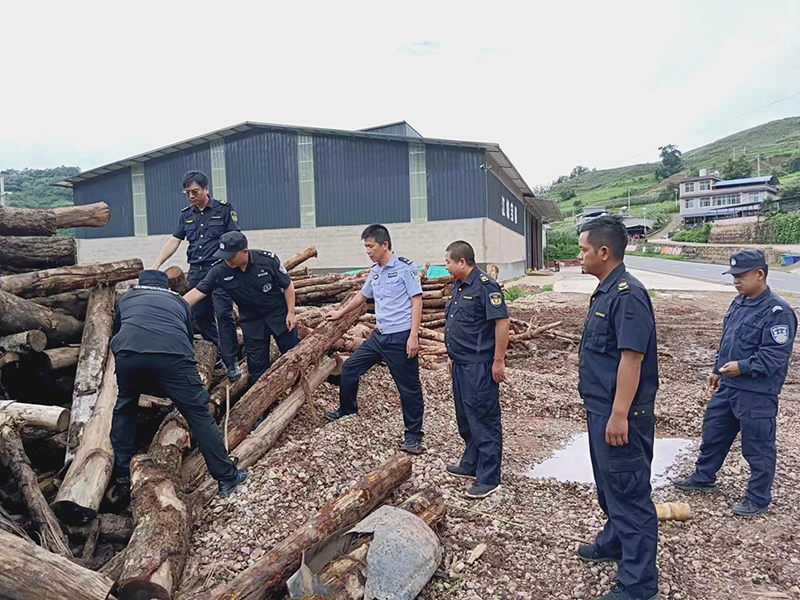 民警突击检查木材加工厂。