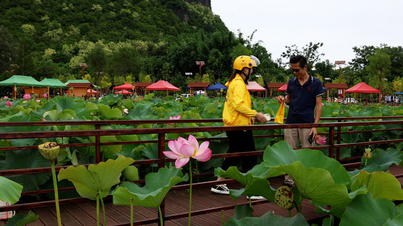 陈婷婷给顾客送餐。王玉强摄