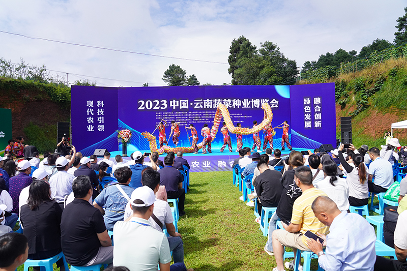 博览会开幕式现场1