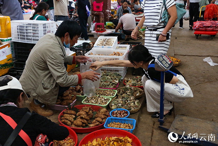 昆明市民正在选购野生菌。人民网 雷霁摄