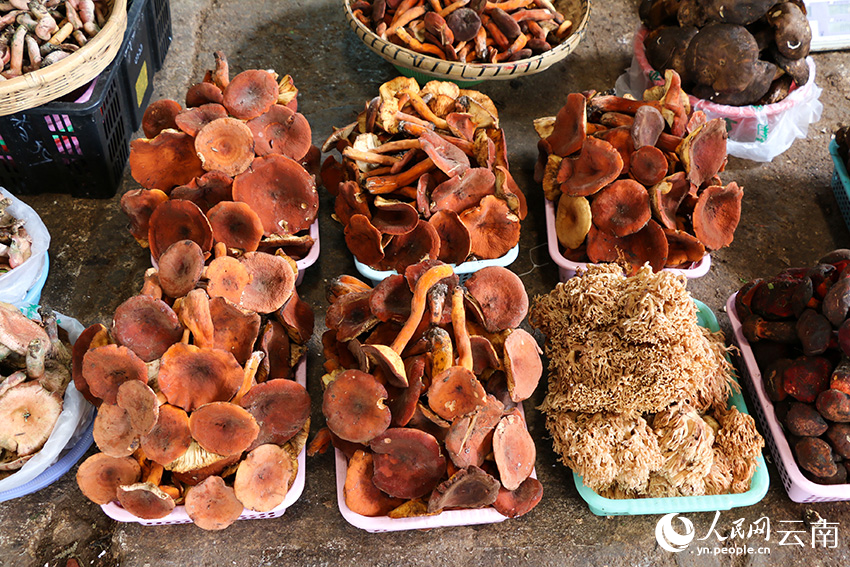 市场上售卖的野生菌。人民网记者 符皓摄