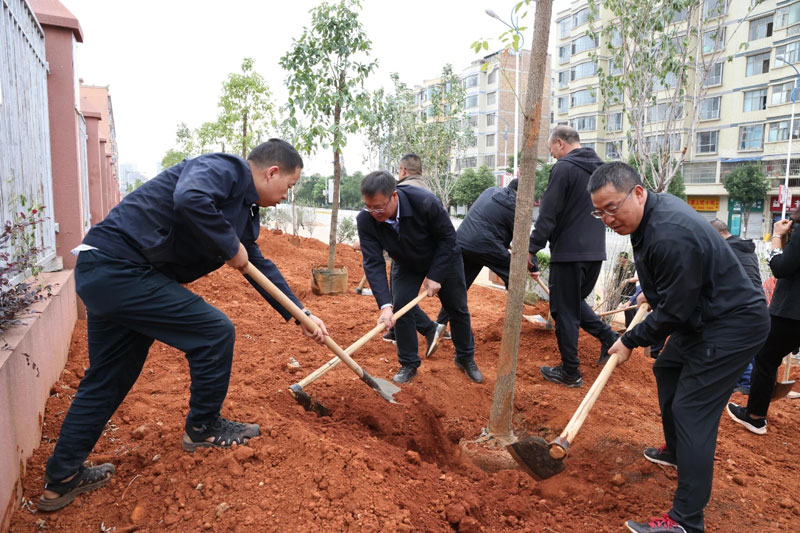 植树活动现场。