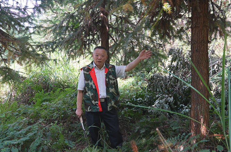羅光才正在講解如何建立防火隔離帶。