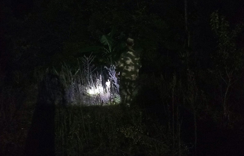 夜間，老陶在山裡巡邏。受訪者供圖