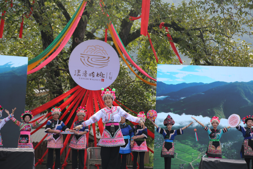 9月23日，云南大理漾濞核桃节开幕，图为开幕式上的少数民族歌舞展演。杨佳燕摄