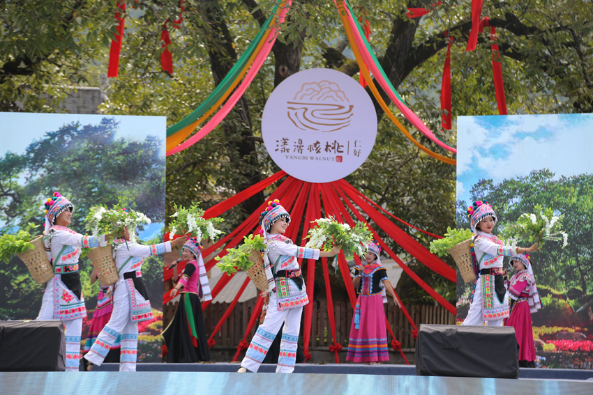9月23日，云南大理漾濞核桃节开幕，图为开幕式上的少数民族歌舞展演。李灿美摄