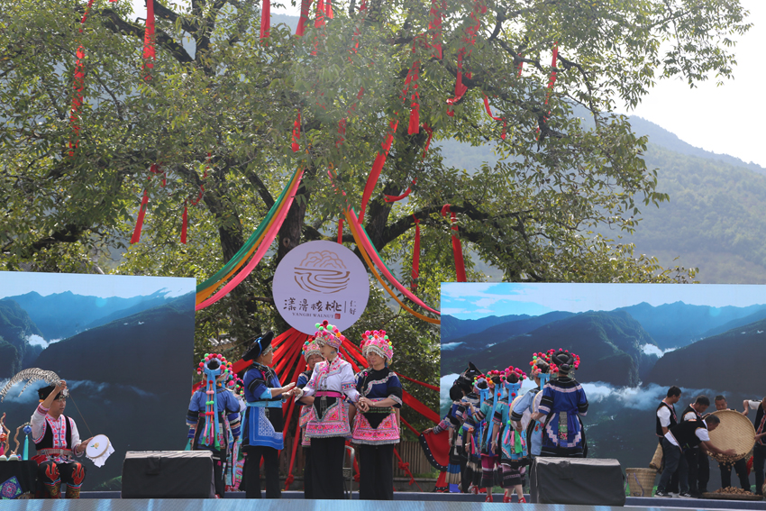 9月23日，云南大理漾濞核桃节开幕，图为开幕式上的少数民族歌舞展演。李灿美摄