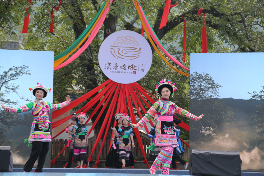 9月23日，云南大理漾濞核桃节开幕，图为开幕式上的少数民族歌舞展演。李灿美摄