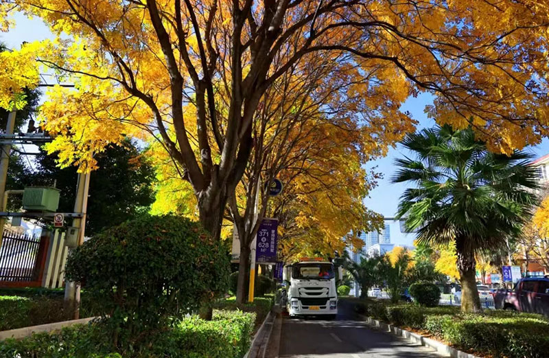 文山城区一路一景。