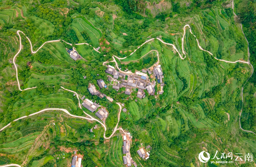 俯瞰南华山区农村道路。人民网记者 虎遵会摄