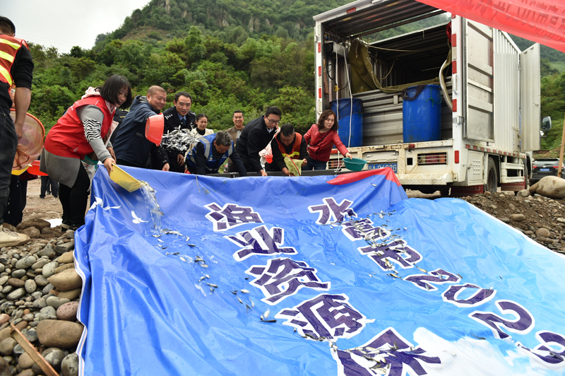 增殖放流活动现场。