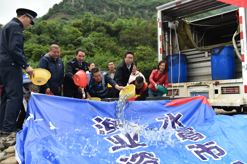 增殖放流活动现场。