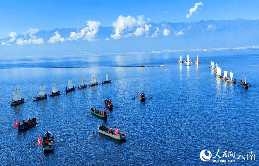 洱海群帆竞逐场景。董孟良摄