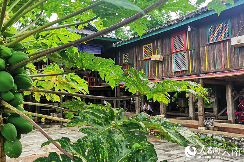 出冬瓜村内，绿叶掩映中的传统德昂族木楼。人民网记者 刘怡摄