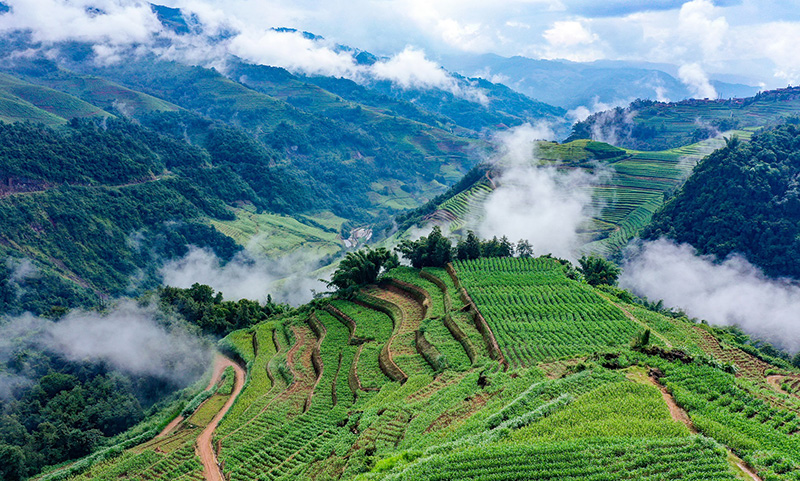 一排排整齐的高标准农田映入眼帘。奚川江摄