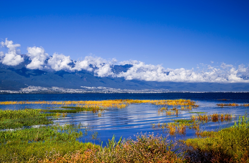 大理市洱海国家重要湿地。郑兴摄