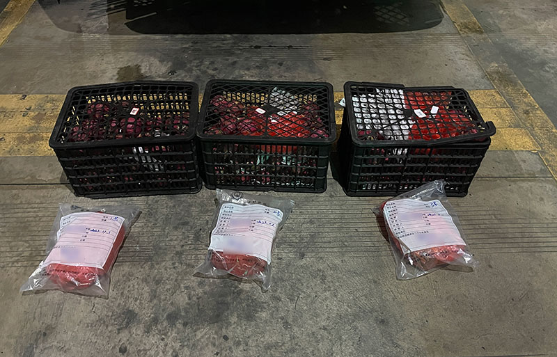 在火龍果中查獲的毒品3.7公斤。 西雙版納邊境管理支隊供圖