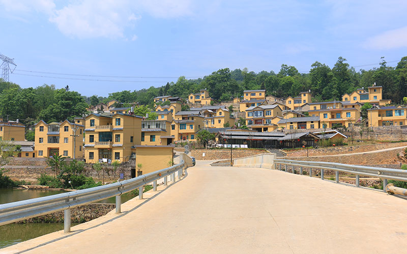 杨家寨村全貌。