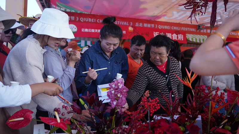 文山州丘北县第二十一届辣椒节开幕。王显涌摄