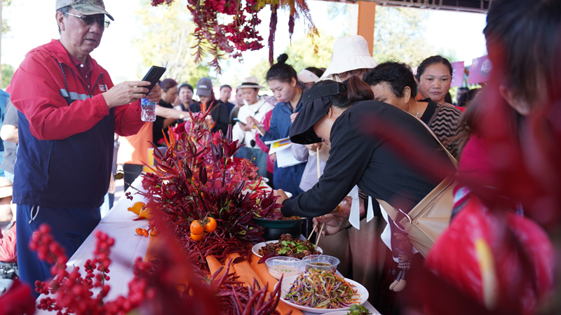 文山州丘北县第二十一届辣椒节开幕。王显涌摄