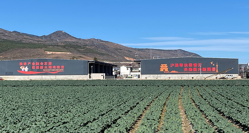 绿色有机蔬菜冷链加工冷库外观1