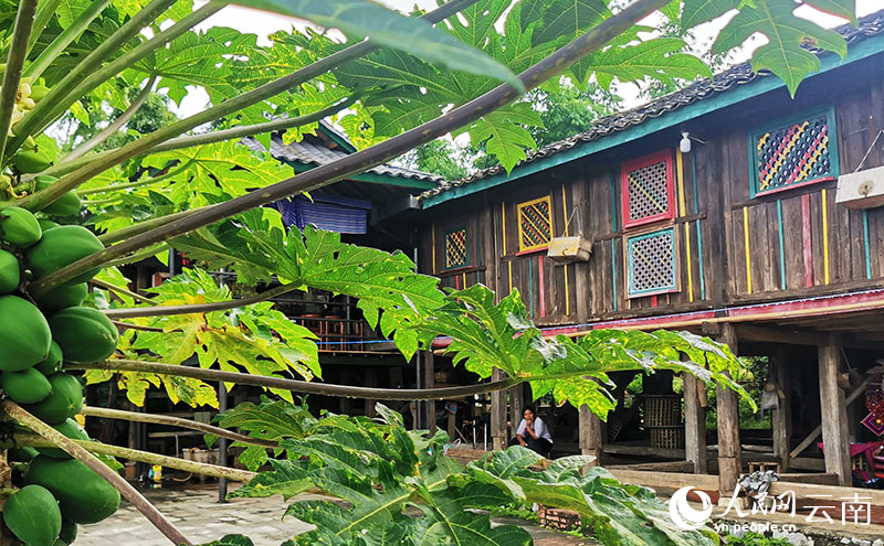 出冬瓜村内，绿叶掩映中的传统德昂族木楼。人民网记者-刘怡摄
