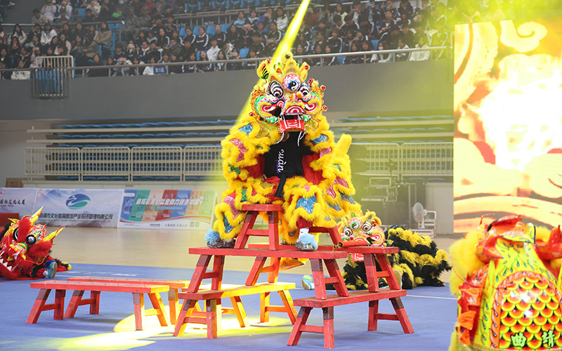 开幕式现场。传统体育国际交流大赛组委会供图