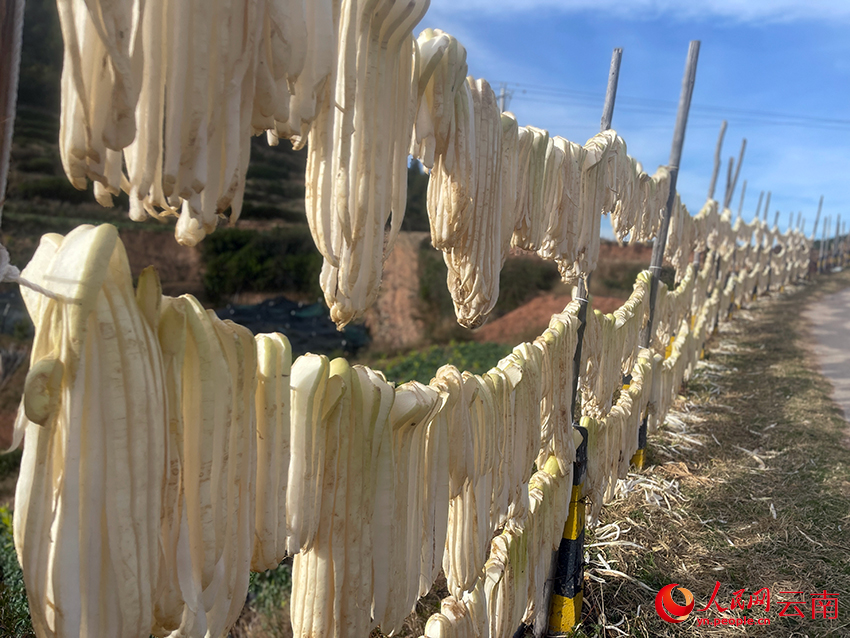 晾晒的萝卜条。人民网记者 程浩摄