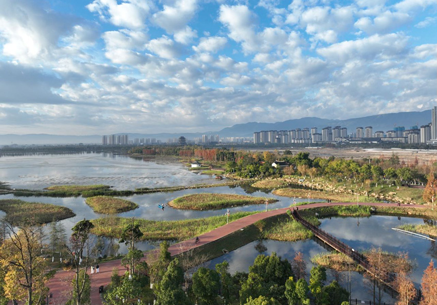 清华海湿地公园。张继洪摄