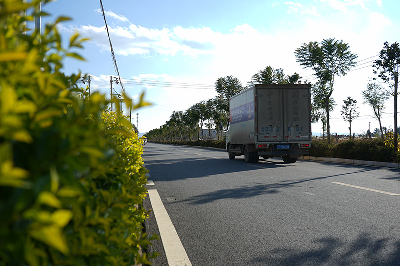 华侨社区村组道路宽敞整洁。