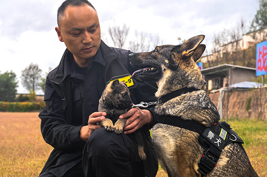 【7】警犬“大力”與“幺幺零”。楚雄州公安局供圖