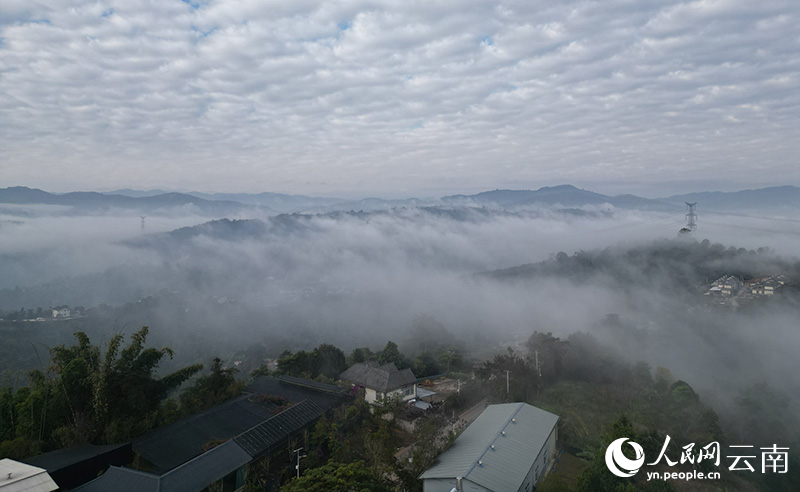 【圖1】雲霧之間的普洱大開河泰富來咖啡庄園。人民網記者-程浩攝
