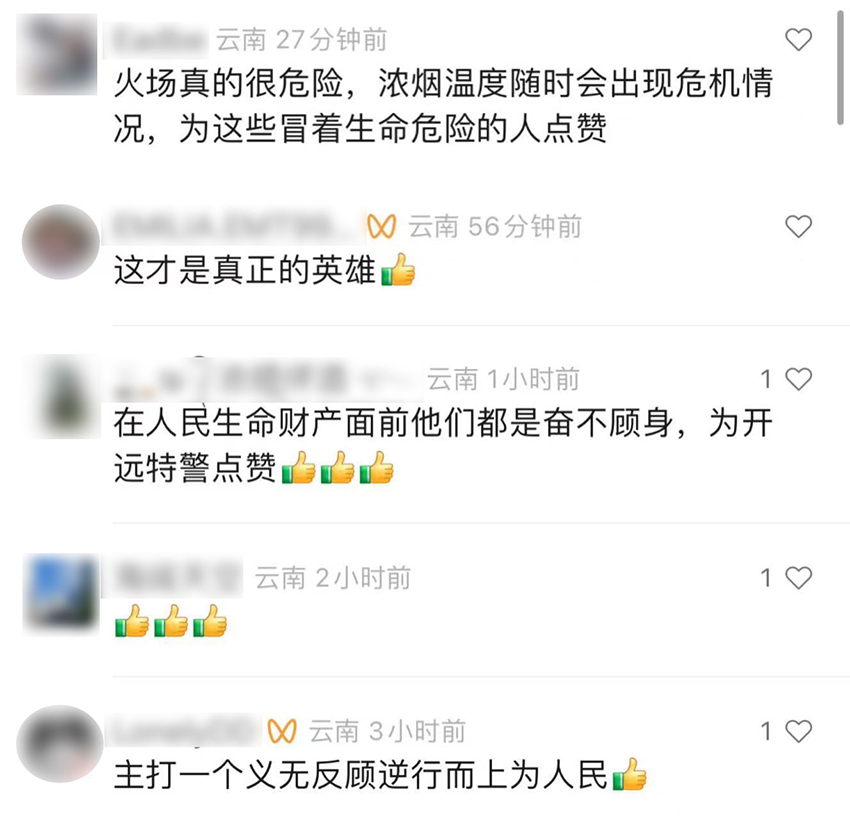 網友評論截圖-雲南省公安廳新聞辦公室供圖