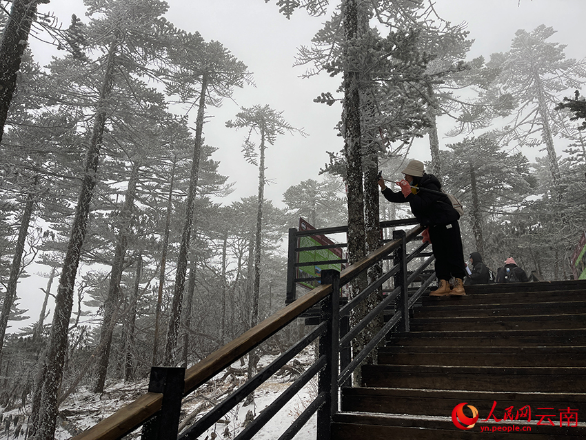 游客雪中赏景。人民网记者 程浩摄