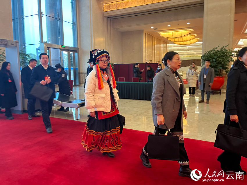 云南省政协委员步入会场。人民网 尹馨摄