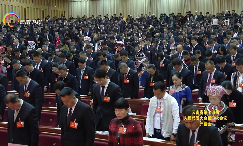 开幕式上，参会人员全体起立为在镇雄县“1·22”山体滑坡灾害中遇难的同胞默哀。视频截图