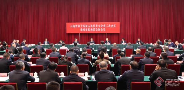 1月24日下午，王寧參加曲靖市代表團審議政府工作報告。雷桐蘇 攝