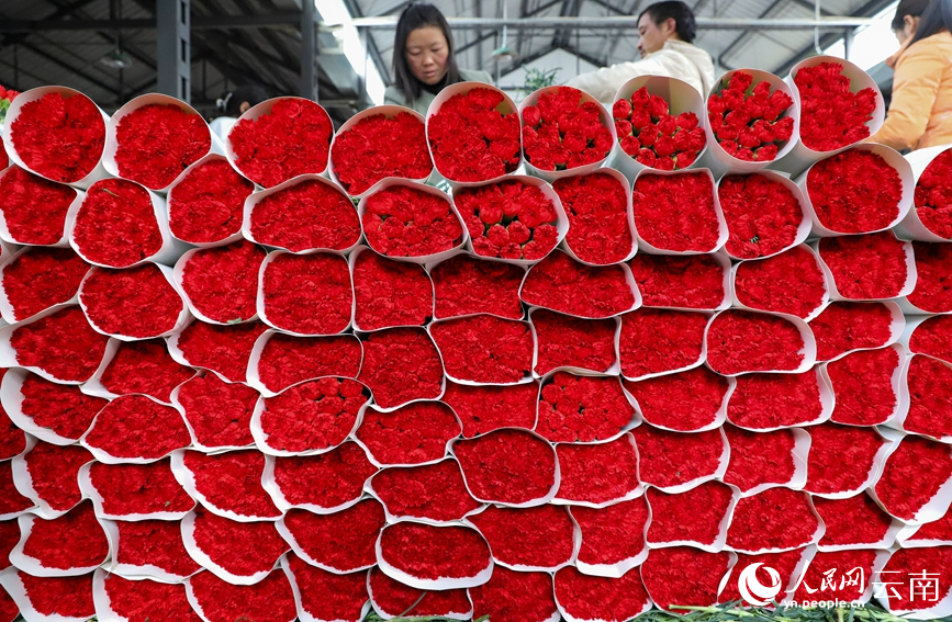 2月2日下午，昆明斗南花卉市場內，部分包裝好等待銷售的鮮切花。人民網記者 虎遵會攝