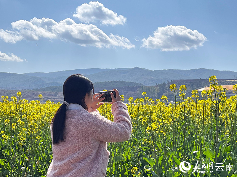 【圖3】游客在油菜花田間拍攝美景。人民網-尹馨攝