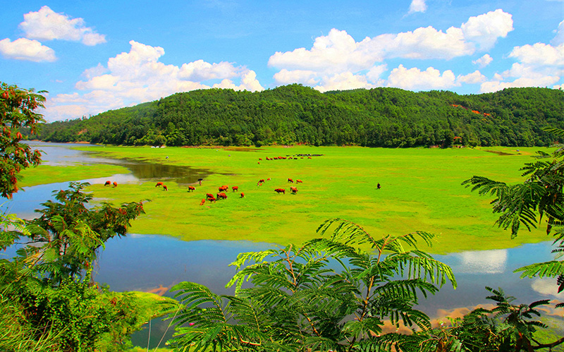 沙橋鎮鳳山湖。蔡波攝