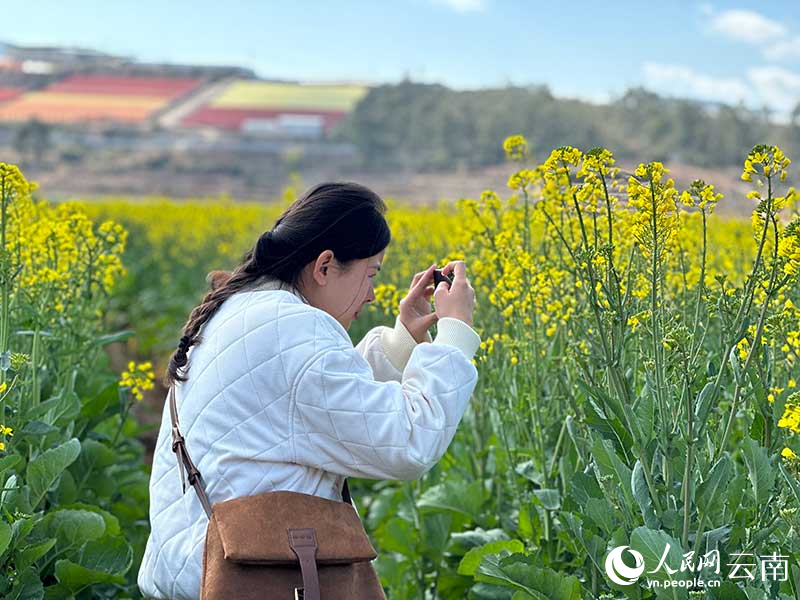游客在油菜花田中拍照。人民網曾智慧攝
