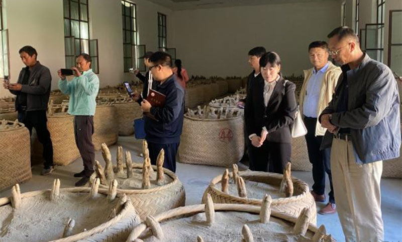 乡村两级党员到永胜县学习火腿制作技艺(谭湘婷2024年2月3日摄)1