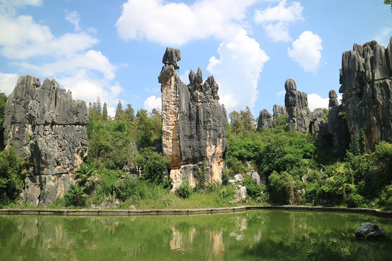 图为石林风景名胜区。石林风景名胜区管理局供图
