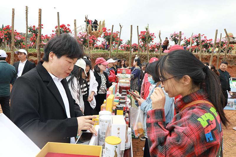 旅游推介活動。